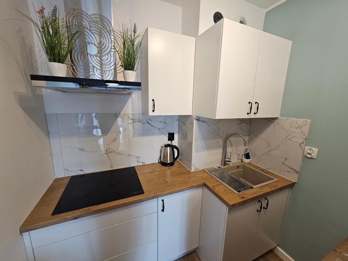 Michalczyka Apartament Vratislav Exteriér fotografie